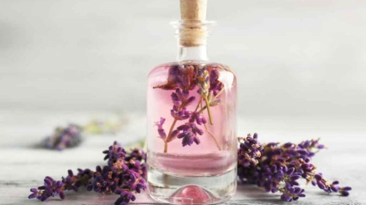 10 Best Lavender Oil Brands In India 2021 Finderwheel