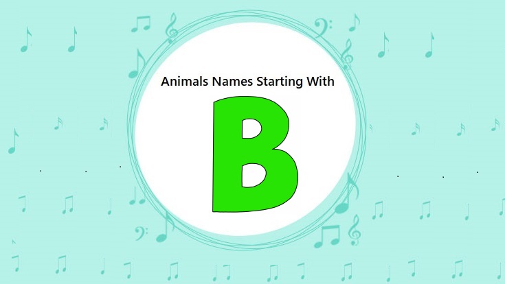 Animal Names That Start with B