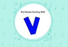Baby Boy Names That Start with V