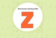 Baby Boy Names That Start with Z