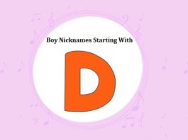 Baby Boy Nicknames Starting with D