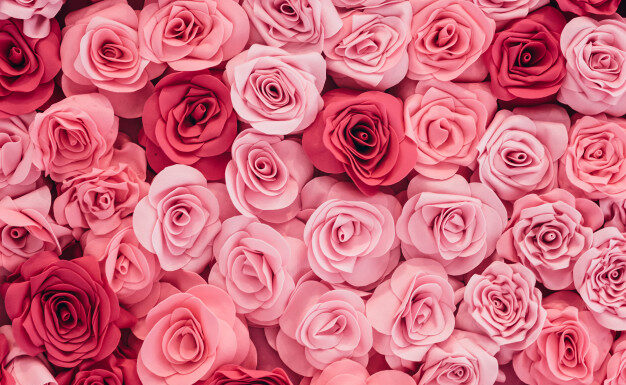 100+ Baby Girl Names That Start With Rose Baby Girl Names That Start with Rose