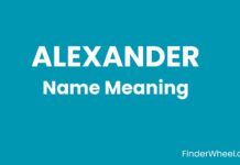 Alexander Name Meaning, Origin, Popularity and Nicknames Alexander Name Meaning