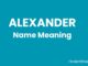 Alexander Name Meaning, Origin, Popularity and Nicknames Alexander Name Meaning