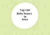 Top 100 Baby Names in Iowa with Meanings