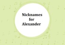 100 Nicknames for Alexander Nicknames for Alexander