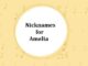 100+ Nicknames for Amelia Nicknames for Amelia