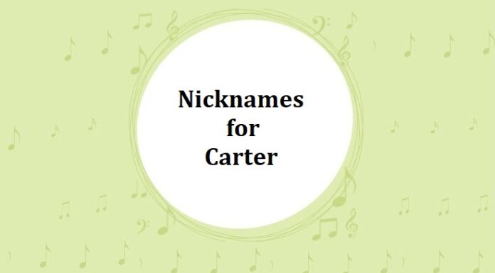 Cute and Unique Nicknames for Carter Nicknames for Carter