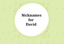 240+ Nicknames for David Nicknames for David