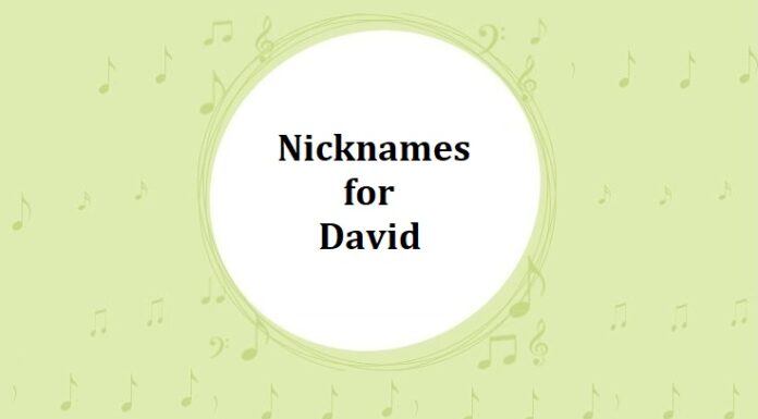 240+ Nicknames for David Nicknames for David