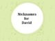 240+ Nicknames for David Nicknames for David