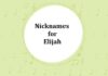 Nicknames for Elijah