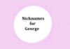 Nicknames for George