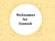 100+ Nicknames for Hannah Nicknames for Hannah