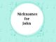 100+ Nicknames for John Nicknames for John