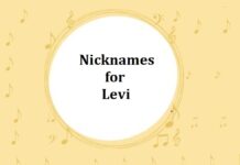 Nicknames for Levi