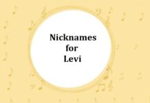 15+ Nicknames for Levi Nicknames for Levi