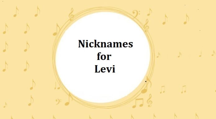 15+ Nicknames for Levi Nicknames for Levi