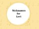 15+ Nicknames for Levi Nicknames for Levi