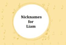100 Nicknames for Liam Nicknames for Liam