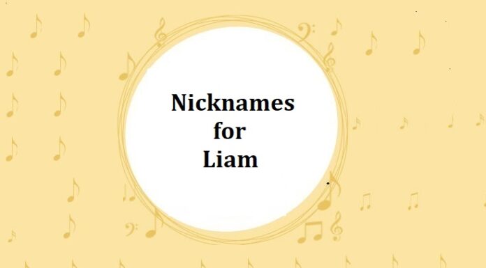 100 Nicknames for Liam Nicknames for Liam
