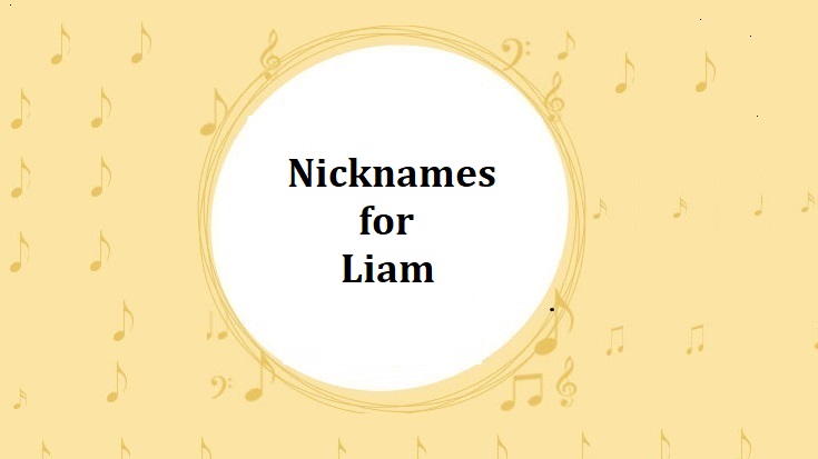 Nicknames for Liam