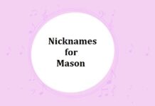 Nicknames for Mason