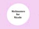 90+ Nicknames for Nicole Nicknames for Nicole