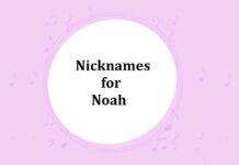100 Nicknames for Noah Nicknames for Noah