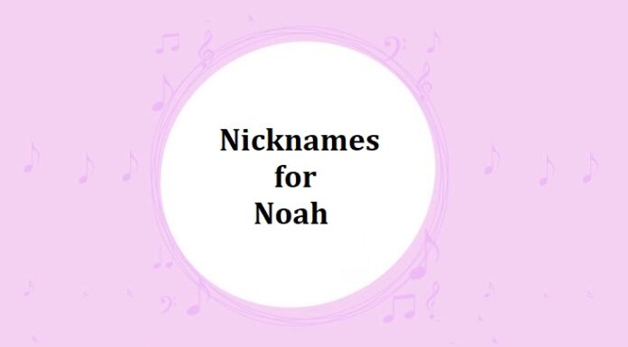 100 Nicknames for Noah Nicknames for Noah