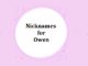 450+ Nicknames for Owen Nicknames for Owen