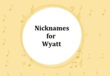 25+ Nicknames for Wyatt Nicknames for Wyatt