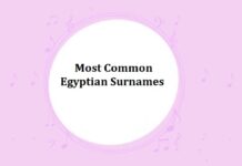 Most Common Egyptian Surnames