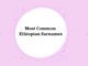 300+ Most Common Ethiopian Last Names & Surnames Most Common Ethiopian Surnames