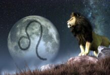 Simha Rashi (Leo) Baby Names with Meanings Leo Baby Names