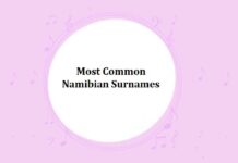 Most Common Namibian Surnames