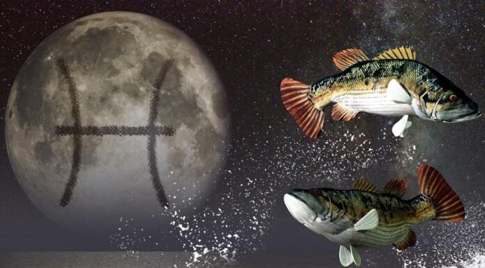 Meena Rashi (Pisces) Baby Names with Meanings Pisces Baby Names