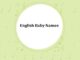300 Top English Baby Names with Meanings English Baby Names with Meanings