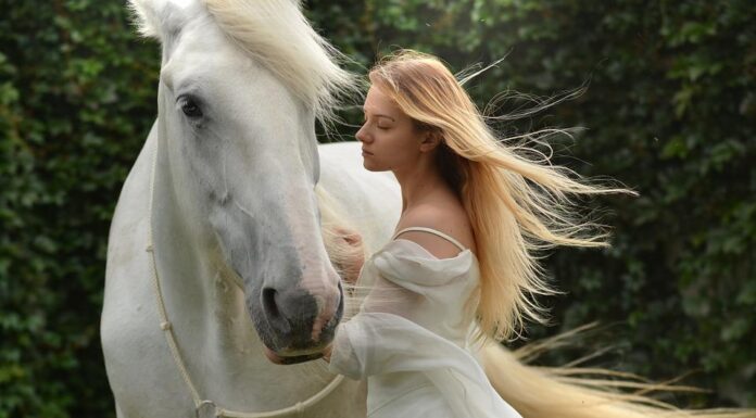 300 Famous Horse Names That Start With A Horse Names That Start With A