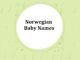 300 Top Norwegian Baby Names with Meanings Norwegian Baby Names With Meanings
