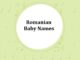 250 Top Romanian Baby Names with Meanings Romanian Baby Names With Meanings