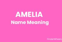 Amelia Name Meaning, Origin, Popularity and Nicknames Amelia Name Meaning