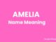 Amelia Name Meaning, Origin, Popularity and Nicknames Amelia Name Meaning