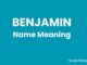 Benjamin Name Meaning, Origin, Popularity and Nicknames Benjamin Name Meaning