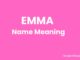 Emma Name Meaning, Origin, Popularity and Nicknames Emma Name Meaning