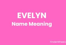 Evelyn Name Meaning, Origin, Popularity and Nicknames Evelyn Name Meaning