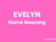 Evelyn Name Meaning, Origin, Popularity and Nicknames Evelyn Name Meaning