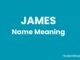 James Name Meaning, Origin, Popularity and Nicknames James Name Meaning
