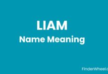 Liam Name Meaning, Origin, Popularity and Nicknames Liam Name Meaning