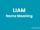 Liam Name Meaning, Origin, Popularity and Nicknames Liam Name Meaning